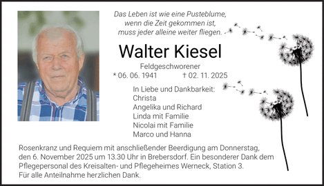 Das Leben ist wie eine Pusteblume